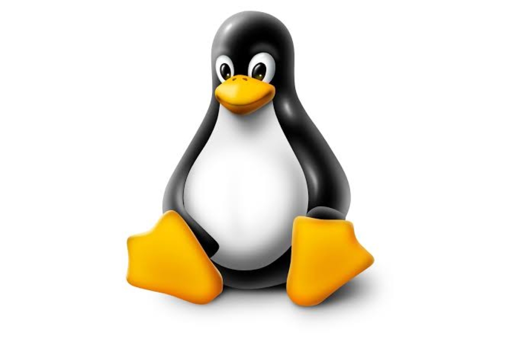 Unlimited Linux Hosting